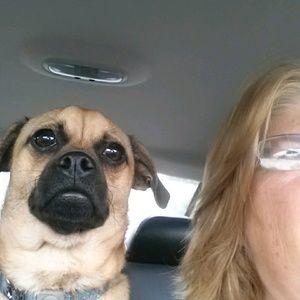 Meet your Posher, Rose